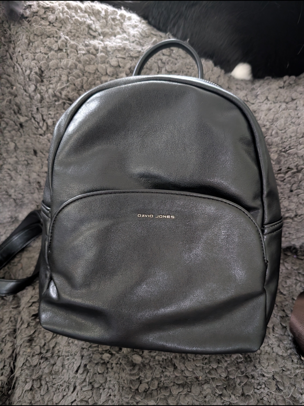 David Jones Black Mini Backpack